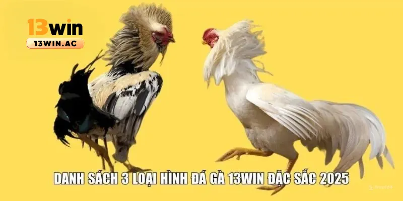 3 loại hình đá gà tại 13win