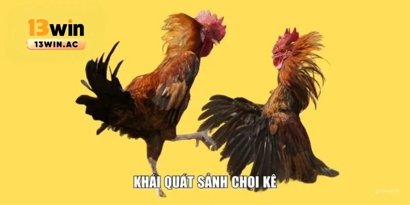 tổng quan sảnh đá gà 13win